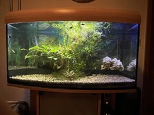 aquarium komplett mit