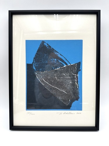 Kunstwerk drucktechnik kunst - kunstwerk,
