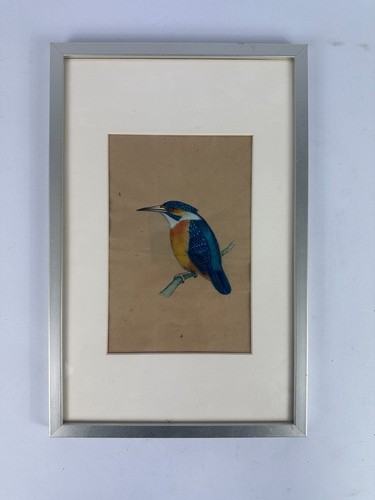 Antike zeichnung eisvogel - antike,