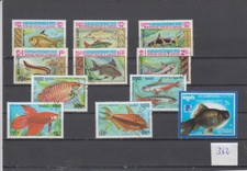 Fische (362) nur Kambodscha Neon Kampffisch Wels Karpfen