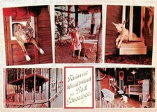 Wambach Bad Schwalbach Taunus Taunus Wunderland Märchen und Abenteuer