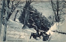 AK Wintersport im Isartal Schlittenfahren Unfall, Kleinformat