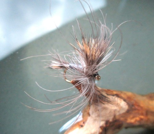Gilchrist fliegen x cdc - x,