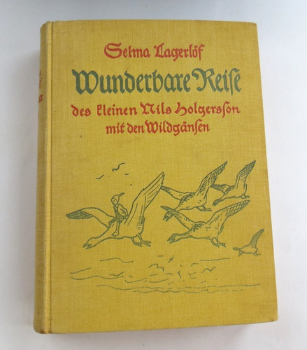 Buch wunderbare reise - buch, des