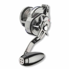 Daiwa SALTIGA 35NL-SJ -