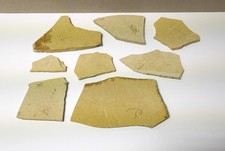 8 Platten mit verschiedenen