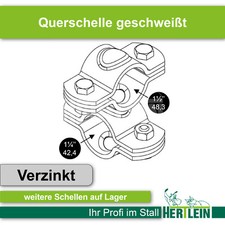 Querschelle Kreuzschelle