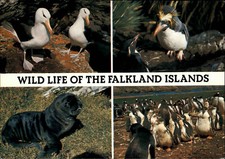 Motivkarte TIERE: Postkarte