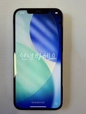 IPhone 12 Pro Max 256Gb