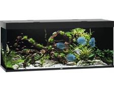 Aquarium JUWEL Rio 450 mit