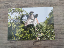 Für Liebhaber und Sammler