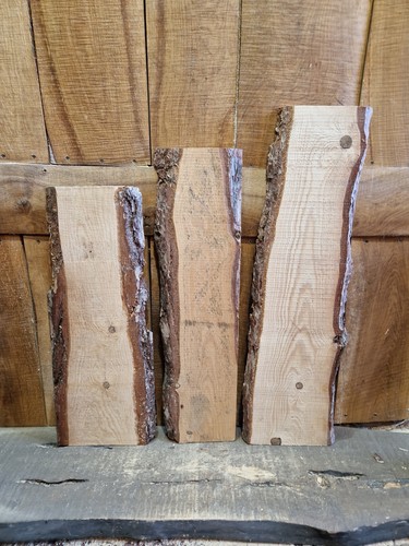 Kieferplatten live edge - kieferplatten,