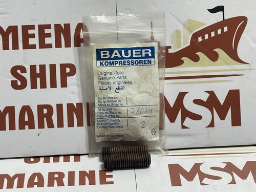 Bauer kompressoren 71074 iron - kompressoren,