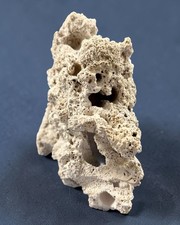 Riffstein Riffgestein