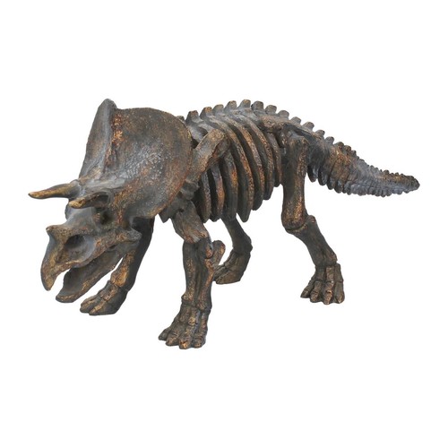 Dinosauier skelett triceratops - dinosauier,