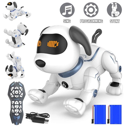 Roboter hund ferngesteuert - hund,