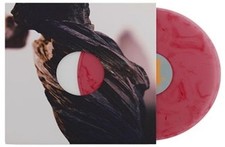 The Pixies The Night the