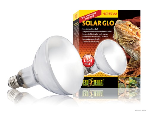 Exo terra solar - solar,