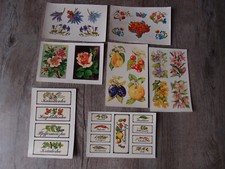 Konvolut DDR Abziehbilder Schiebebilder Blumen Kräuter Obst