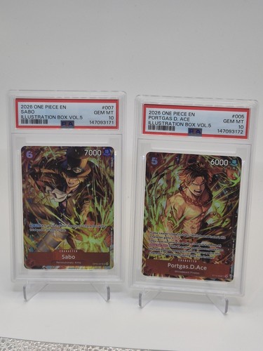 One piece illustration - illustration, box