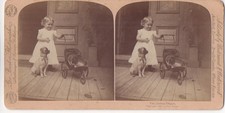 Vintage Stereofoto) 18x9 cm: The Jealous Doggie (1891)