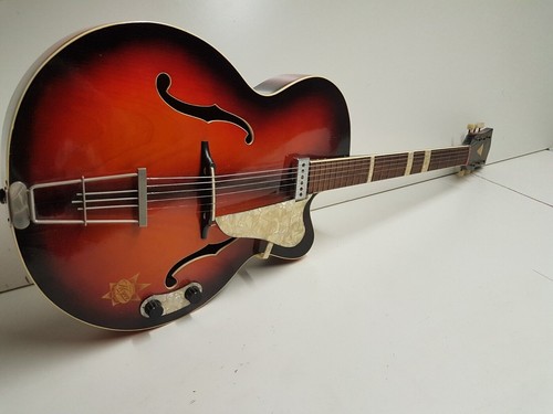 Arnold hoyer expo jazz guitar - hoyer,