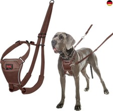Halti pull anti - halti,