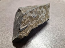 ?? Pyrit Sonnen xx auf Grauwacke Steinbruch Wetterberg Sachsen LK Meißen  ??