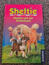 Sheltie. Sheltie und der