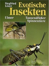 Exotische Insekten