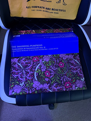 The smashing pumpkins - the,
