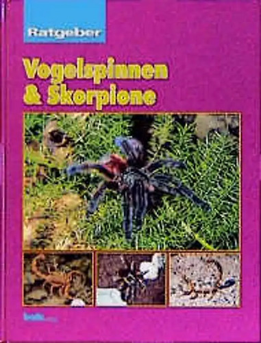 Ratgeber vogelspinnen und - ratgeber,