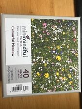 Wentworth Puzzel 40 Stück