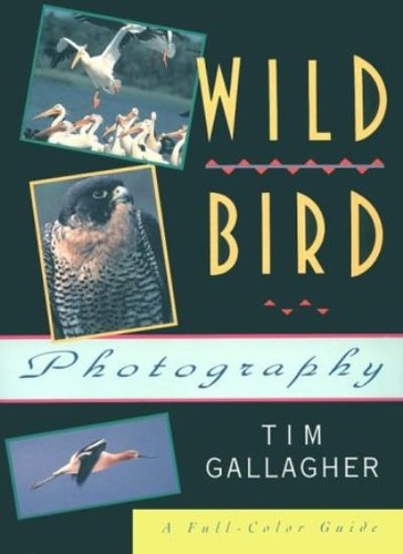 Wild bird photography - bird, photography: