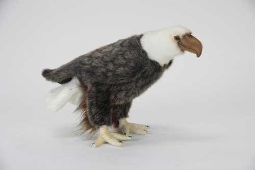 Hansa weißkopfseeadler - hansa,