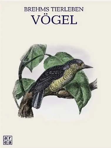 Brehms tierleben vögel - brehms, tierleben.