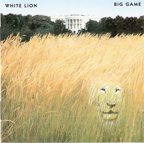 White lion big - -,