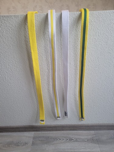 Taekwondo gürtel 4 - taekwondo,