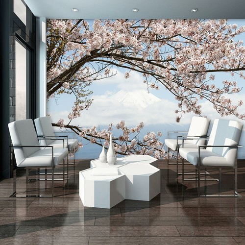 Fototapete kirschblüten natur - kirschblüten,