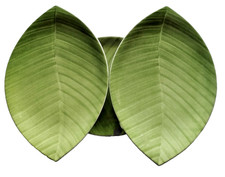 3 x Palm Leaf großer