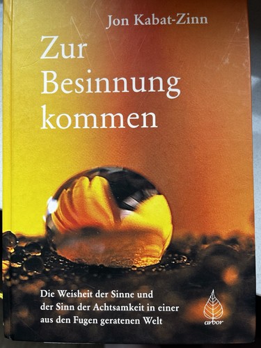 Zur besinnung kommen von jon - zur,