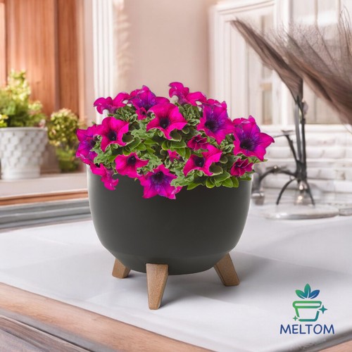 Blumentopf mit füßen - mit,