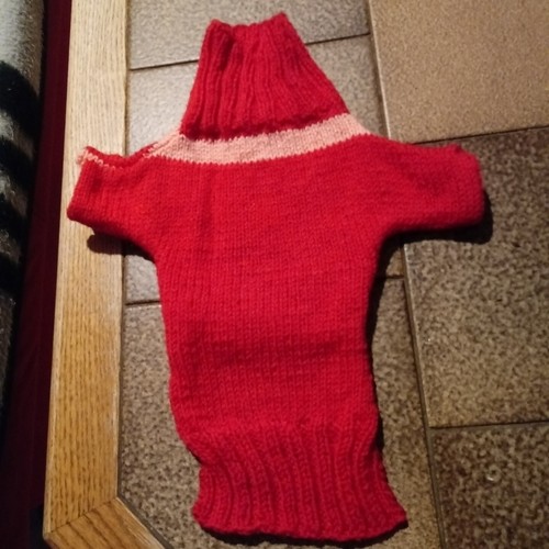 Hunde pulli - hunde,