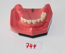 Go Dent Schaumodell Nr.  3