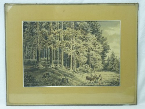 Aquarell lichtung mit - (h367),
