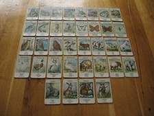 altes Quartett Spiel Tiere aus