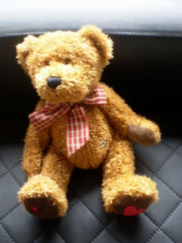 Bär teddybär original - bär,