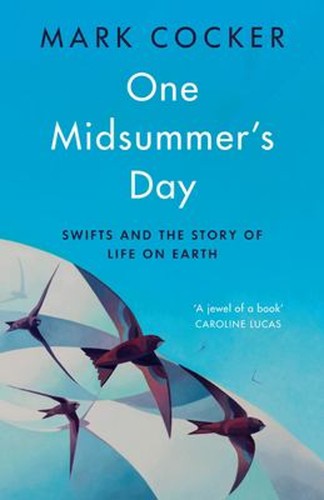 One midsummer day - midsummer's,