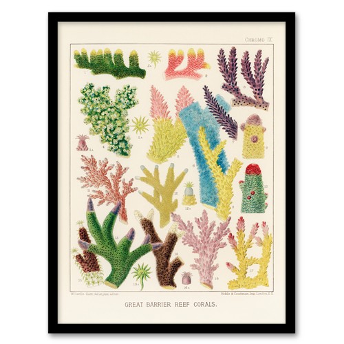William saville kent framed - william,