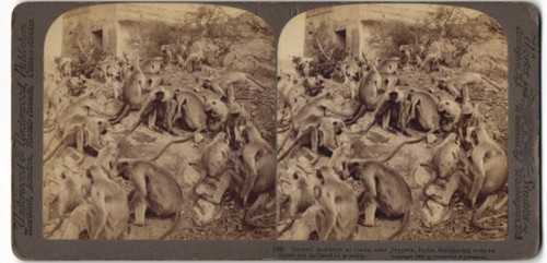 Stereo fotografie underwood - underwood, &